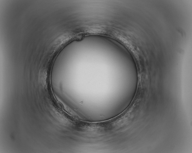 X0000112490201200908311439