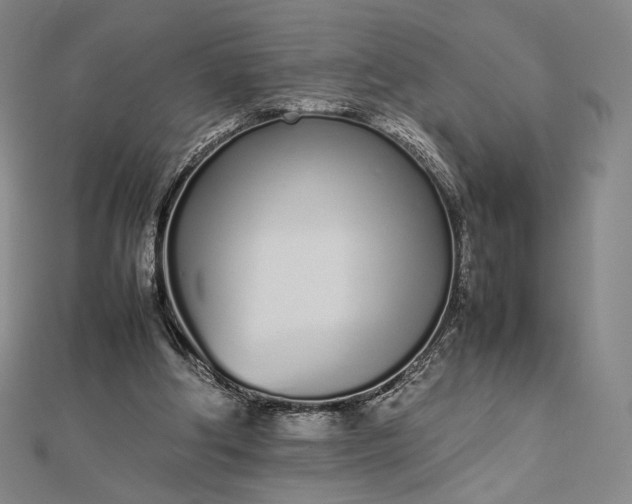 X0000112490202200908311439