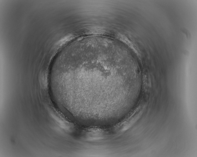 X0000112490203200908311439