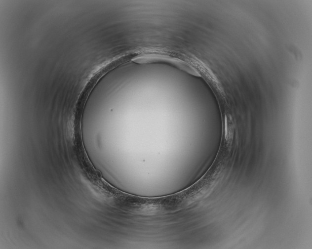 X0000112490204200908311438