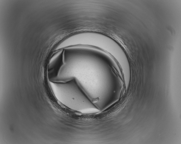 X0000112490205200908311438