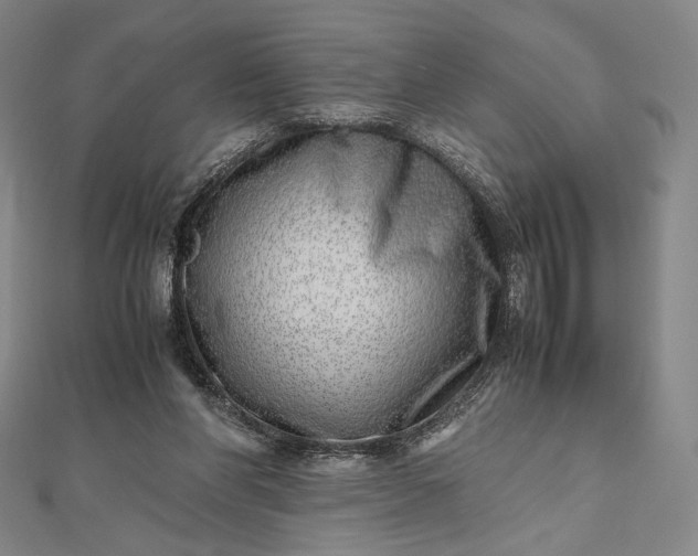 X0000112490206200908311438