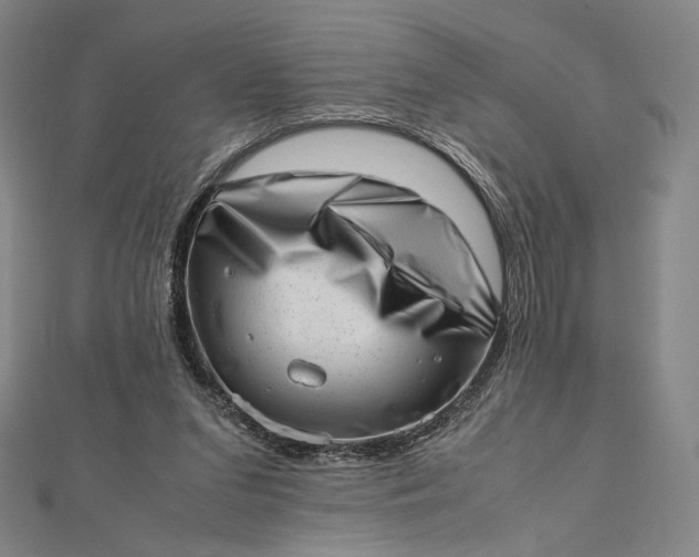 X0000112490207200908311438