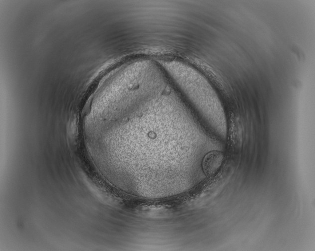 X0000112490208200908311438