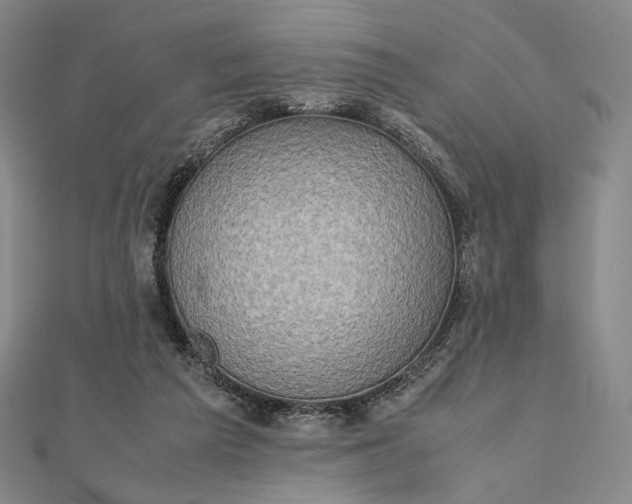 X0000112490209200908311438