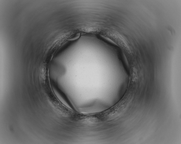 X0000112490210200908311438