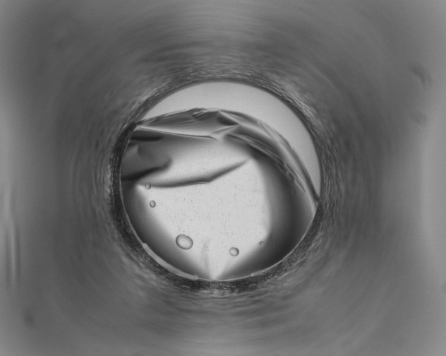 X0000112490211200908311438