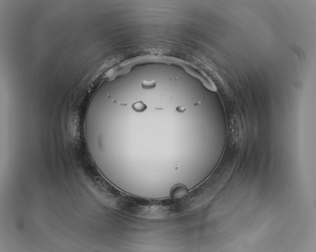 X0000112490212200908311438