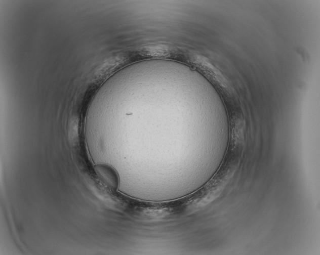 X0000112490213200908311438