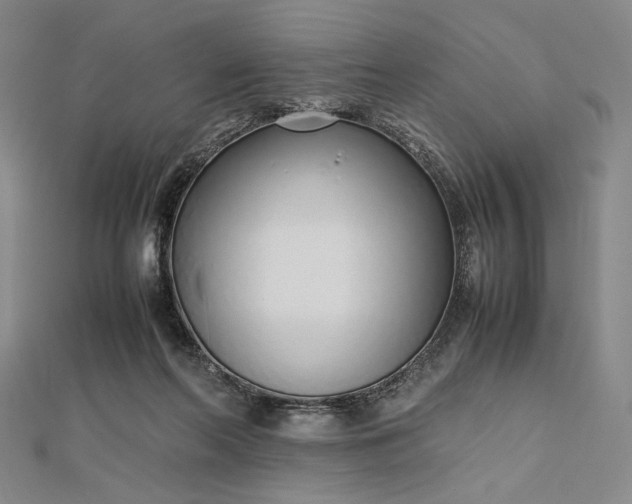 X0000112490214200908311438