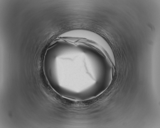 X0000112490215200908311438