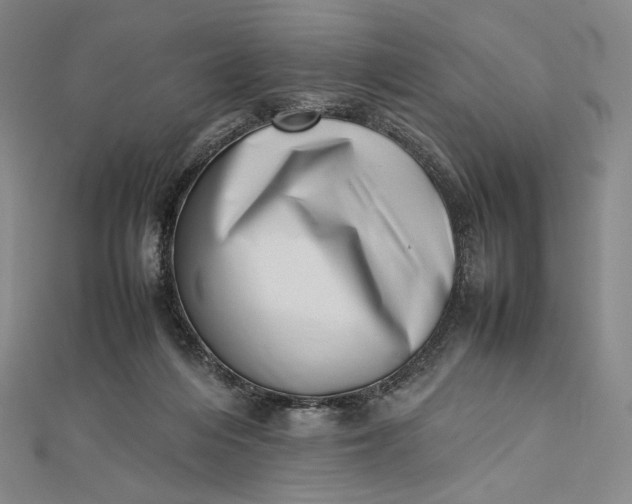 X0000112490216200908311438