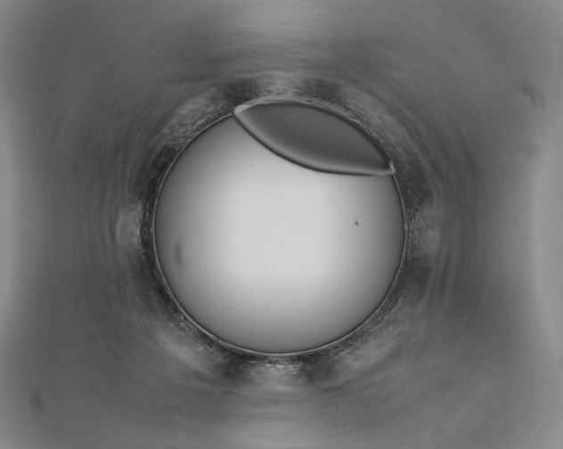 X0000112490217200908311438