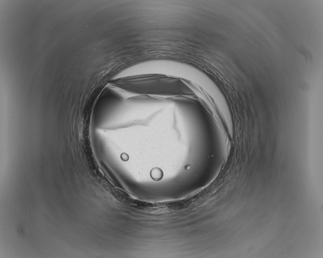 X0000112490219200908311438