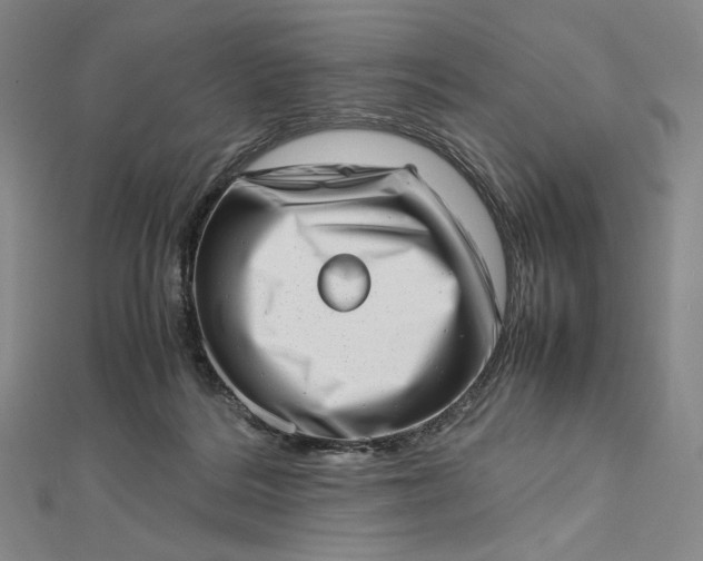 X0000112490220200908311438