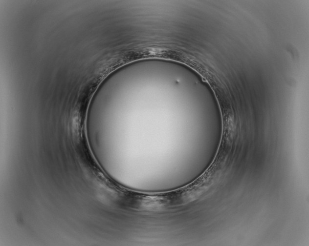 X0000112490222200908311438