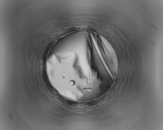 X0000112490223200908311438