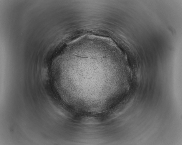 X0000112490224200908311438