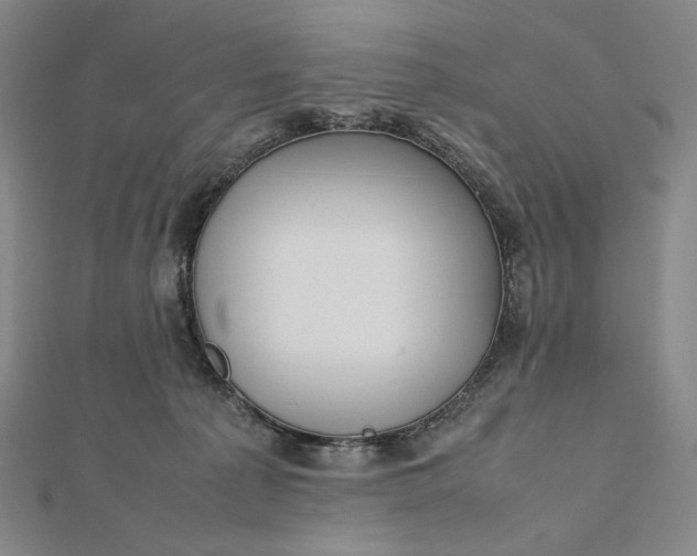 X0000112490225200908311438