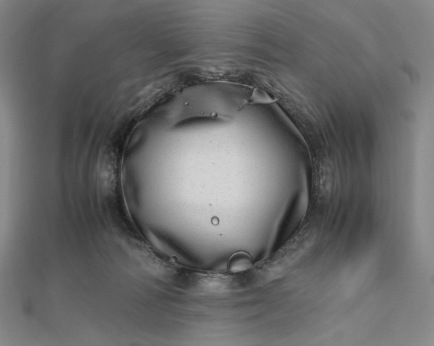 X0000112490226200908311438