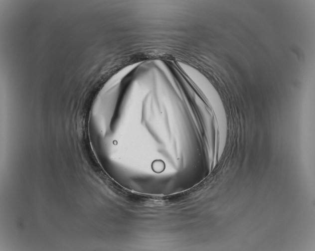 X0000112490227200908311438