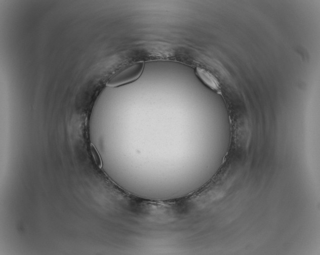 X0000112490229200908311438