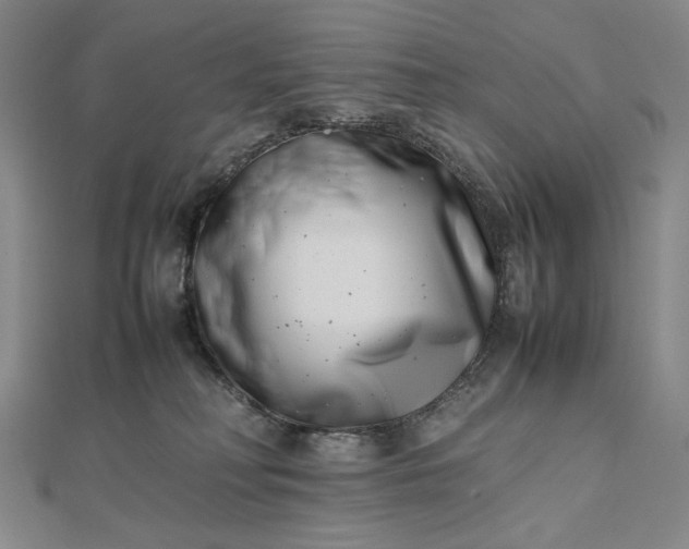 X0000112490230200908311438