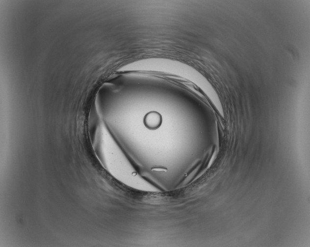 X0000112490231200908311438