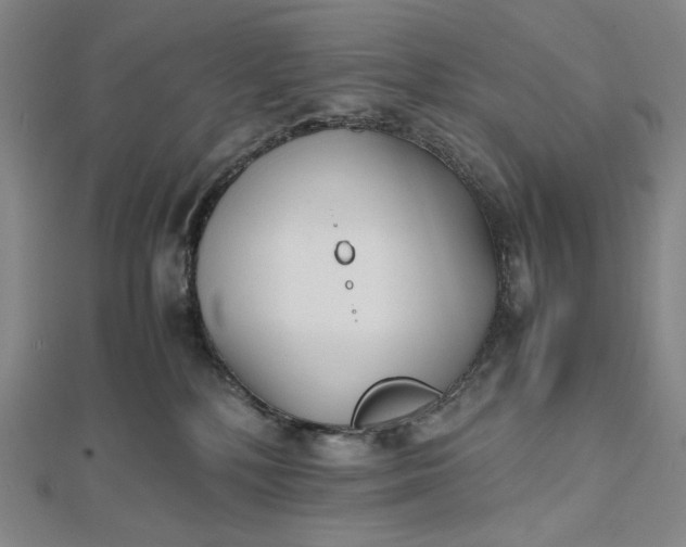 X0000112490232200908311438