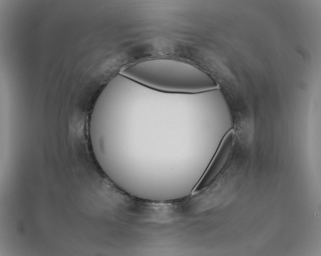 X0000112490233200908311438