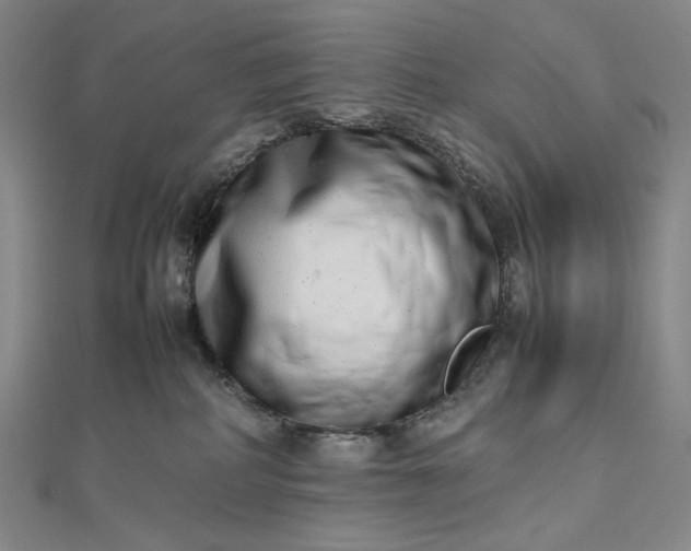 X0000112490234200908311438