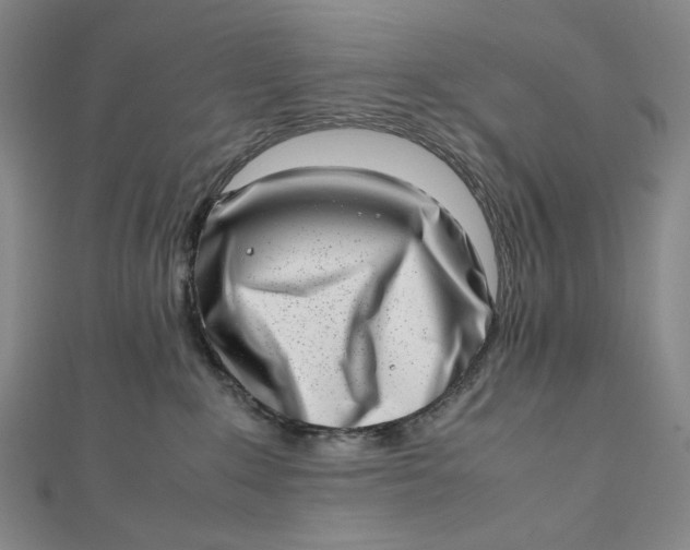 X0000112490235200908311438