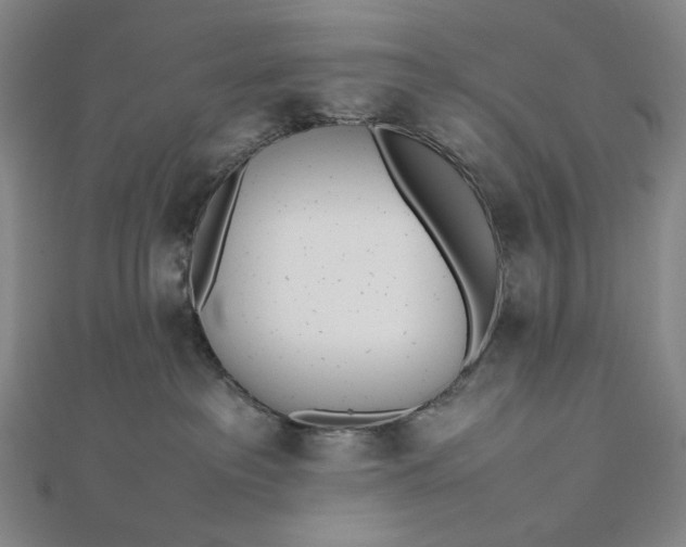 X0000112490237200908311438