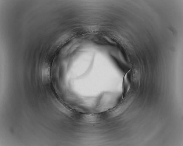 X0000112490238200908311438