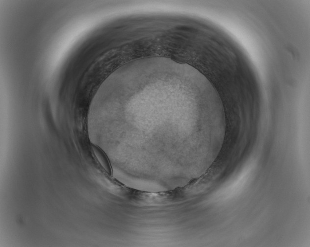 X0000112490239200908311438