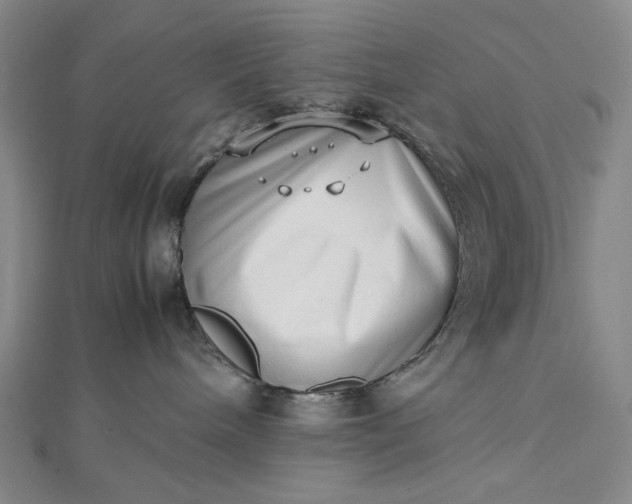 X0000112490240200908311438