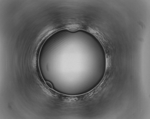 X0000112490243200908311437