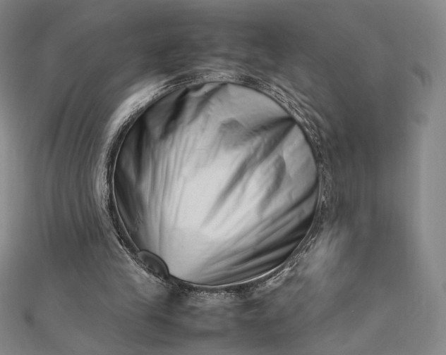 X0000112490245200908311437