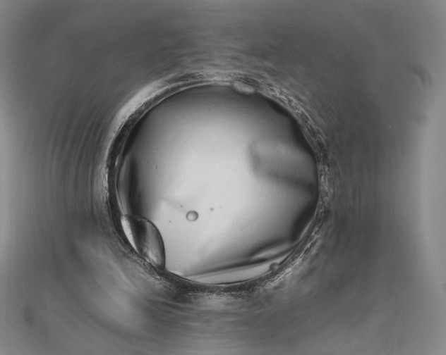 X0000112490246200908311437