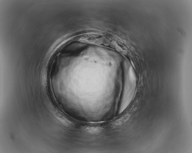 X0000112490247200908311437