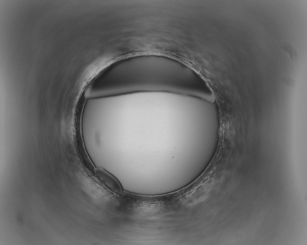 X0000112490248200908311438