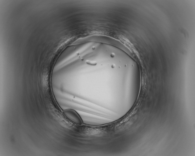 X0000112490249200908311438