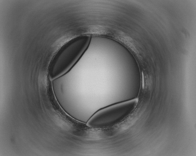 X0000112490252200908311438