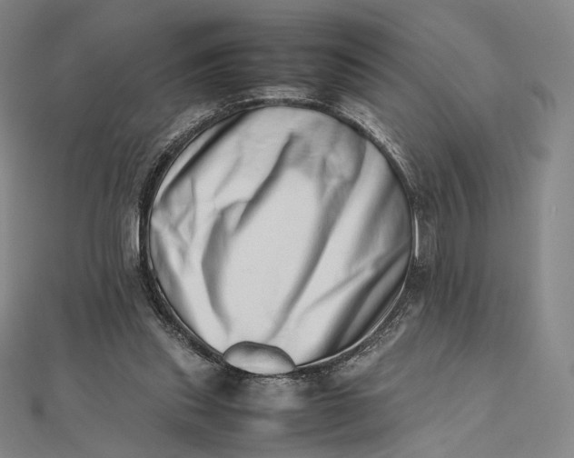 X0000112490253200908311438