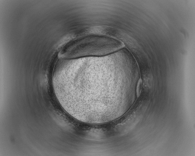 X0000112490256200908311438