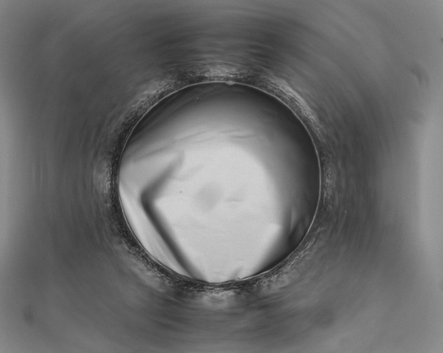 X0000112490257200908311438