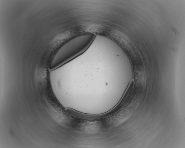 X0000112490260200908311438