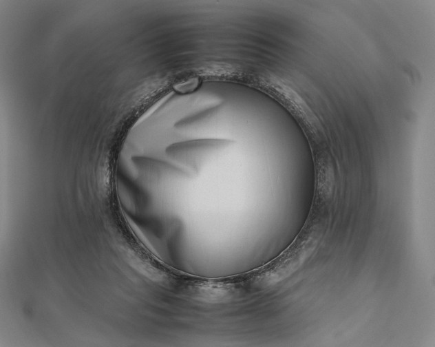 X0000112490261200908311438