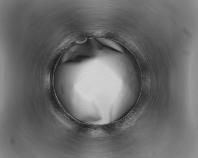 X0000112490262200908311438