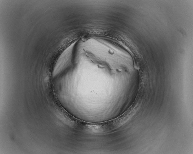 X0000112490265200908311438